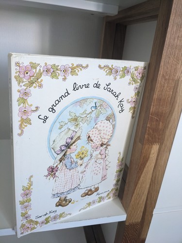 Grand livre sarah kay - sarah,