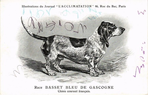 Cpa race basset - cpa, bleu