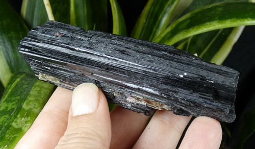 Tourmaline noire schorl - noire, &