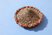 Chirens couvercle  terre cuite granitée Poterie  Art populaire XIX°  - 12 cm