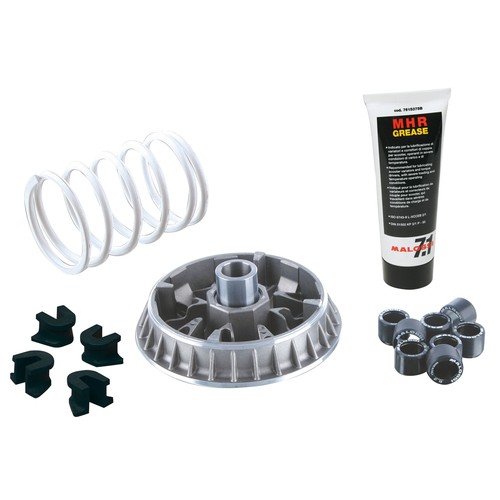 Variateur maxiscooter malossi