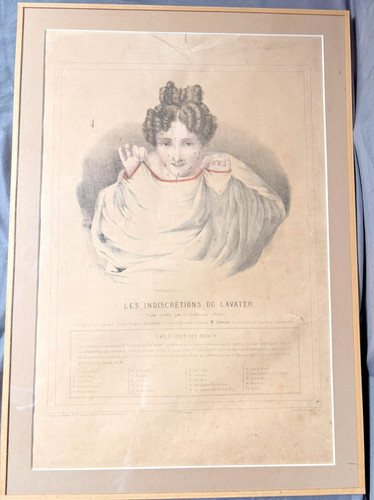 Gravure xixème anatomie - xixème,