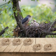 Matériel de nidification pour