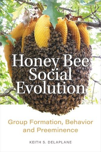Keith delaplane honey bee - keith,