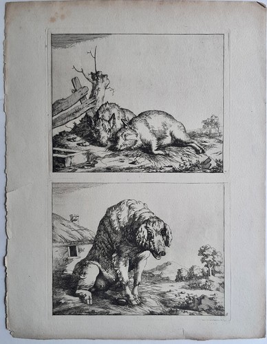 Deux cochons une truie - cochons,