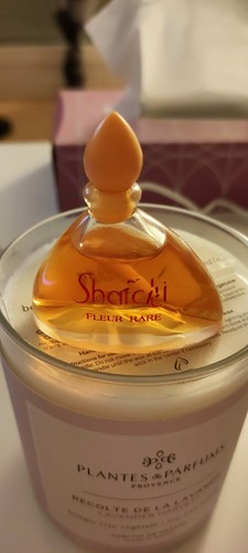 Petite bouteille parfum - petite,