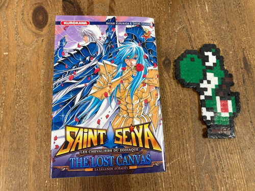 Saint seiya the - , canvas
