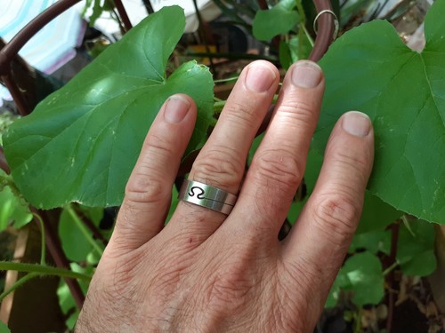 Bague anneau alliance acier