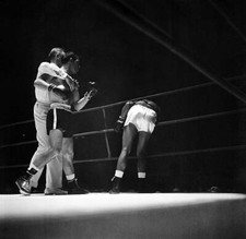 Boxer ray sugar robinson - ray,
