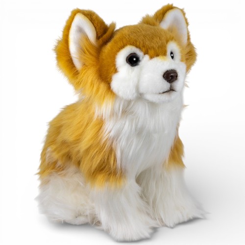 Carl dick chihuahua assis - dick,