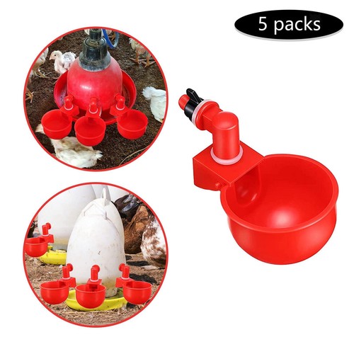 Mangeoire pour chicken - mangeoire,