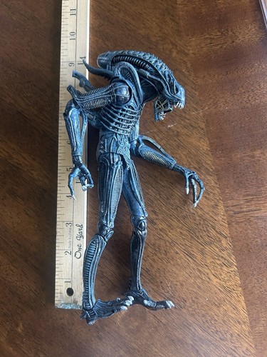 Alien blue warrior xenomorph - alien,