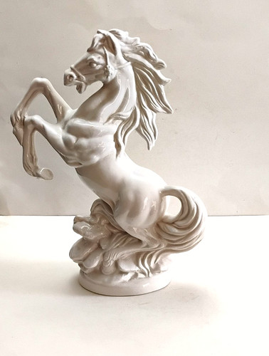 Cheval blanc en - blanc,