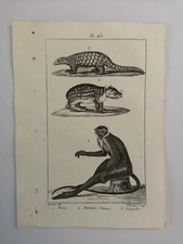 PLANCHE / GRAVURE de 1816 -