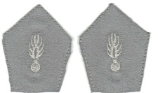 Ecussons de col Sous-Officier  CSTAGN ancien modéle pour vareuse