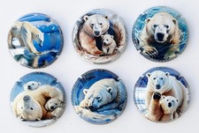 News -Série de 6 Capsules de