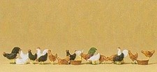 Poules Et Coqs