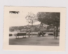 photo ancienne ?️ promenade urbaine Neuchâtel années 50 tirage d’époque