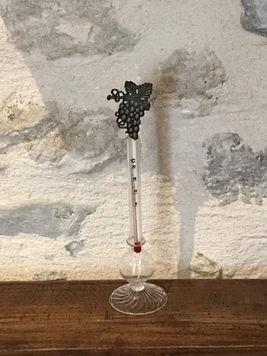 Thermomètre pour les - , en