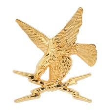 VERITABLE INSIGNE BREVET