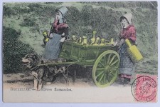 CPA Belgique Bruxelles Laitières Flamandes Attelage de chiens (53637)
