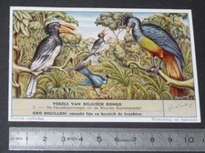 CHROMO LIEBIG OXO 1955 OISEAUX CONGO BELGE CALAO SIFFLEUR TOURACO GEANT