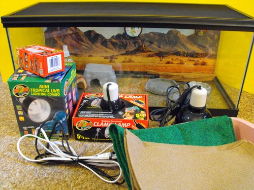 Complete reptile terrarium - complete,
