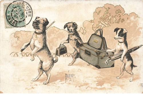 Chien mk079 trois chiens - chien,