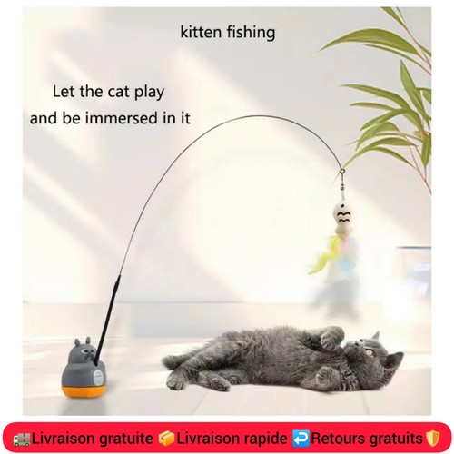Jouet interactif chat - , plume