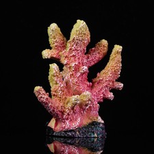  Creative Aquarium Coral Reef