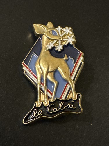 Pin insigne ski - insigne,