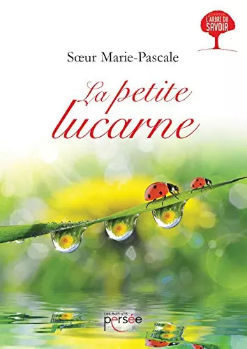 Petite lucarne sœur - petite, lucarne,