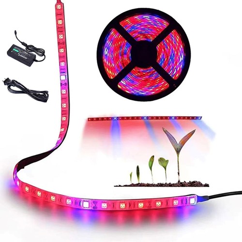 Grow lights for seed - grow, starting