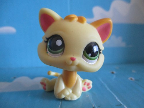 Petshop chaton chat n - /, n°1649