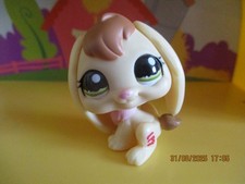 Petshop Lapin Bélier #1167