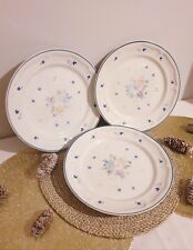 Lot de 3 Grandes Assiettes en