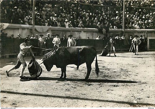 Carte postale corrida - carte,