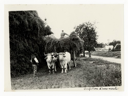 Photographie ancienne vers