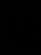 Moteur Peugeot 206 207 307 Citroen Picasso 1.6 Hdi 110ch type 9HY - 109 353 kms