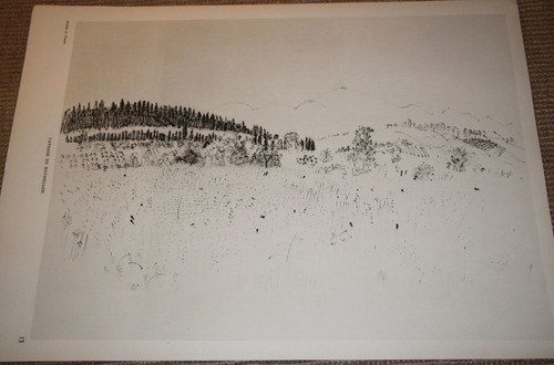 Ancienne gravure raoul dufy - gravure,