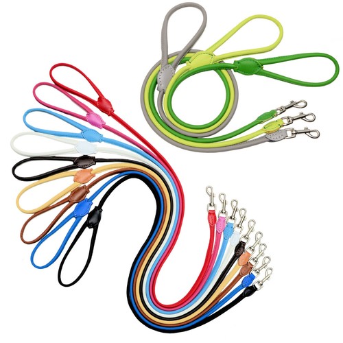 Zooleszcz laisse cuir - zooleszcz, en