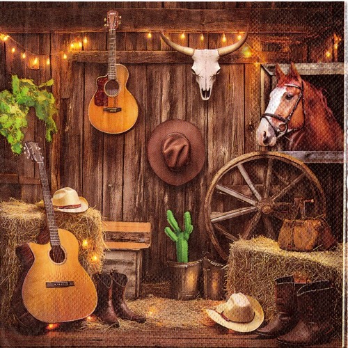 Serviettes papier ranch - serviettes,