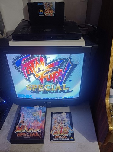 Fatal fury special aes neo - fatal,