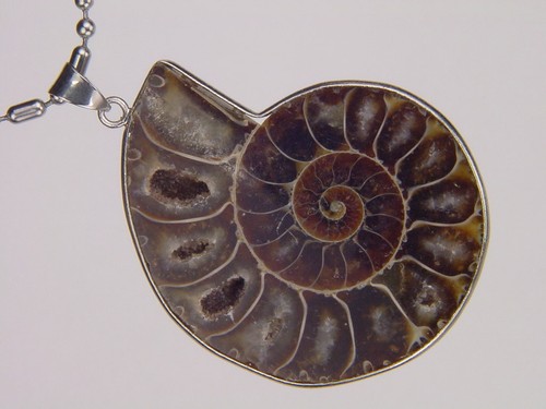 Butw argent ammonite - argent,
