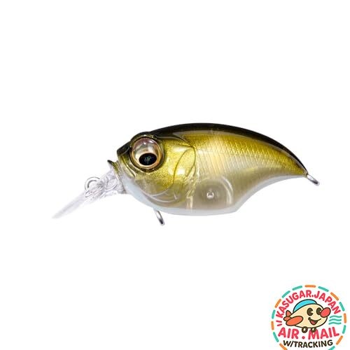 Nouveau leurre megabass x - megabass, sr-x