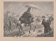 Musterreiter Concessionnaire