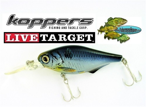 Rare live target - live,