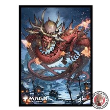 NOUVELLE pochette de carte