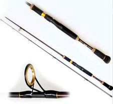 Canne lancer pêche leurre