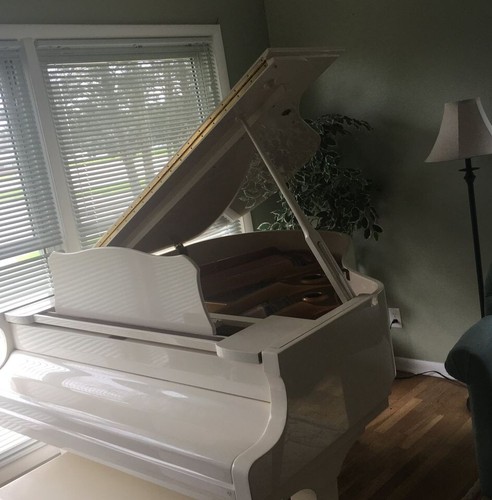 Young chang 157 baby - baby, grand